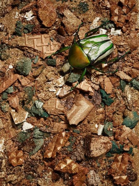 Photograph Tal Silverman Green White Beetle On Make Up Landscape on One Eyeland